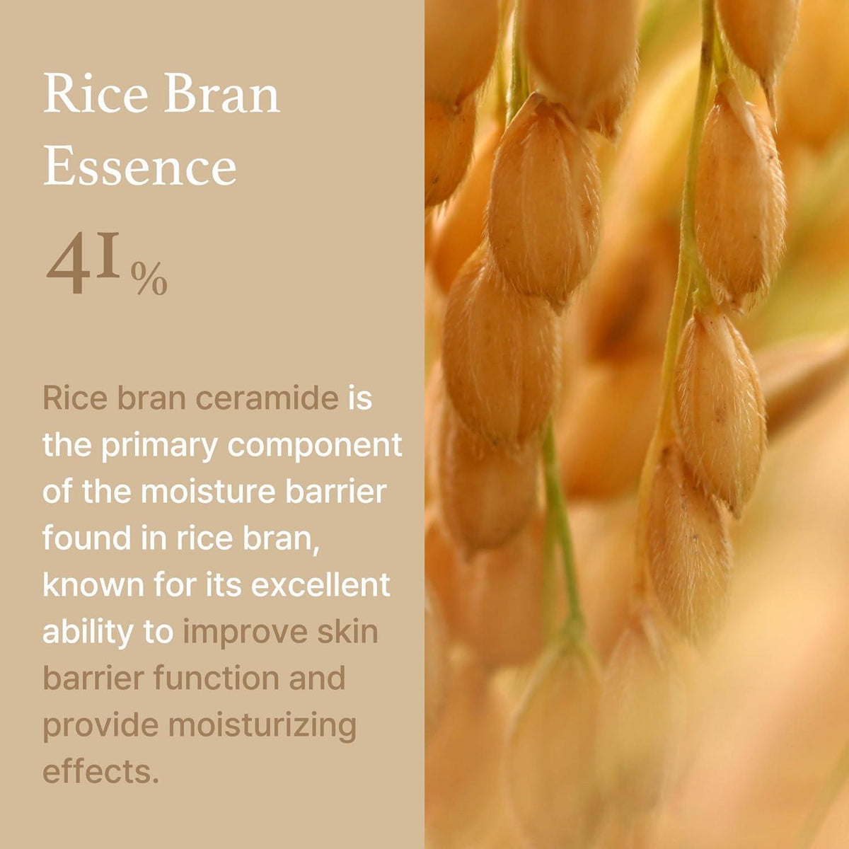 [ImFrom] Rice Cream 50g