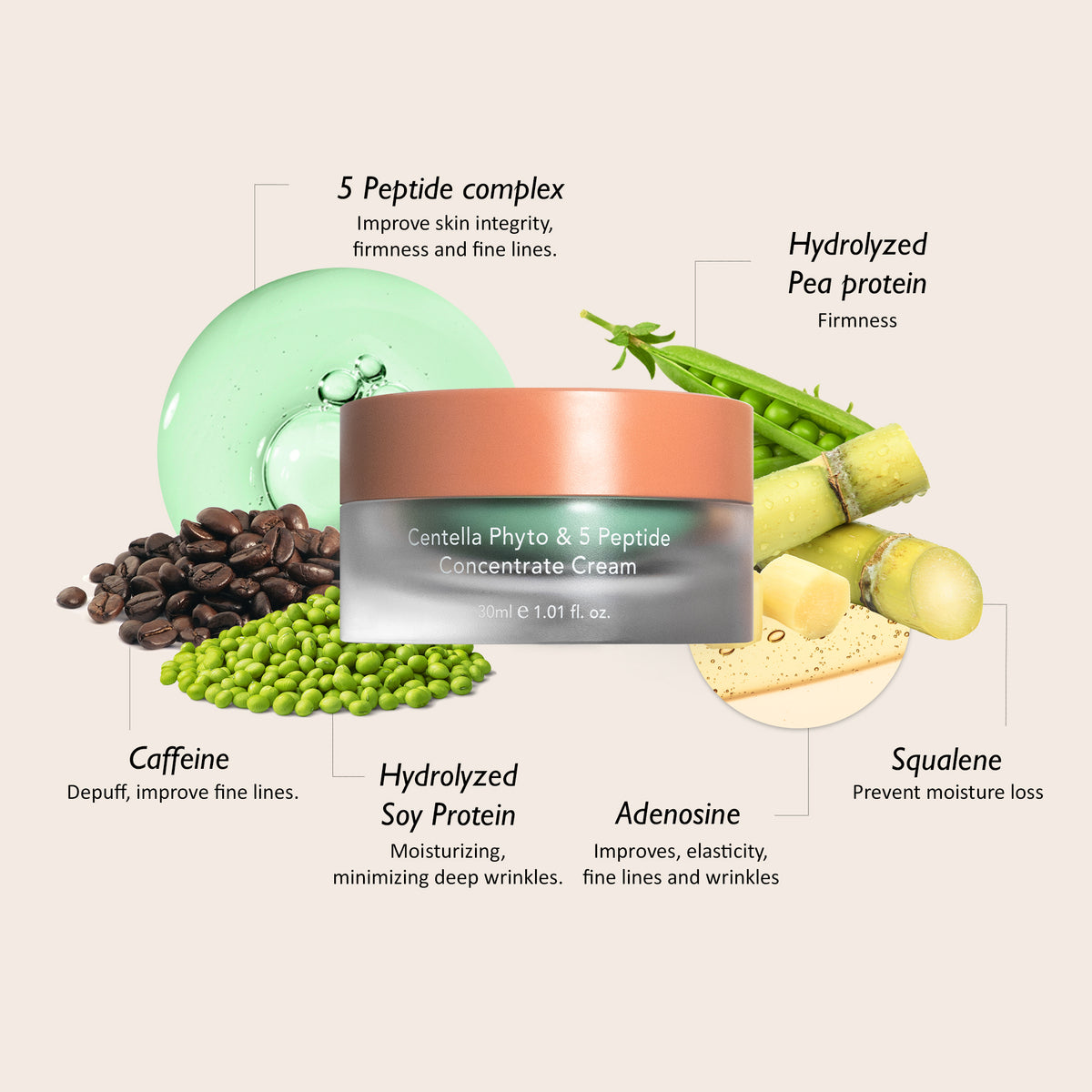 [haruharuwonder] Centella Phyto & 5 Peptide Concentrate Cream 30ml + Refill 30ml
